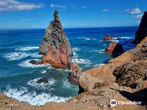 Ponta de São Lourenço
