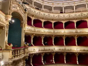 Teatro Girolamo Magnani