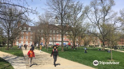 Main Quad