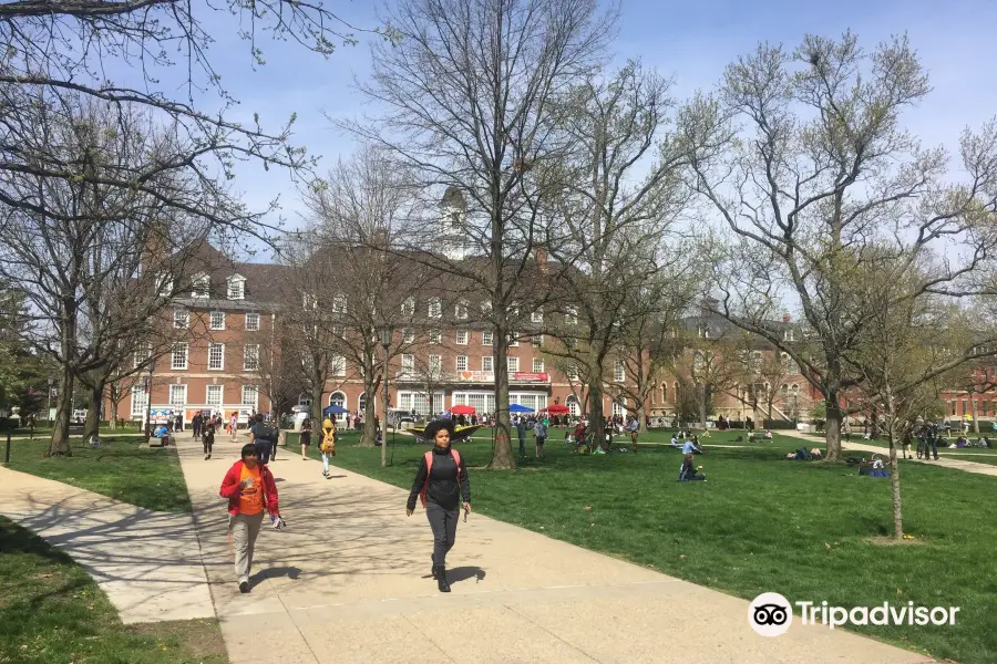 Main Quad