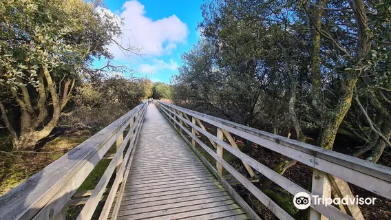 Shell Bay Seafood Restaurant