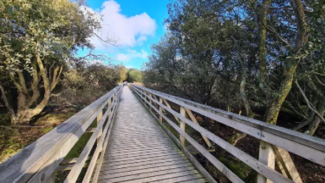 Shell Bay Seafood Restaurant