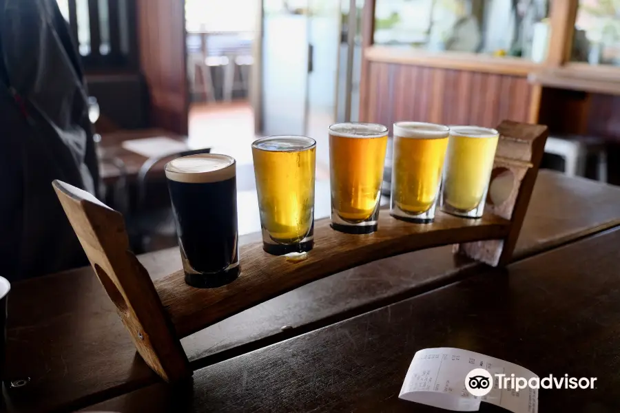 4 Pines Brewery Tours