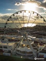 Ferris Wheel Cancun