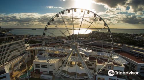 Ferris Wheel Cancun