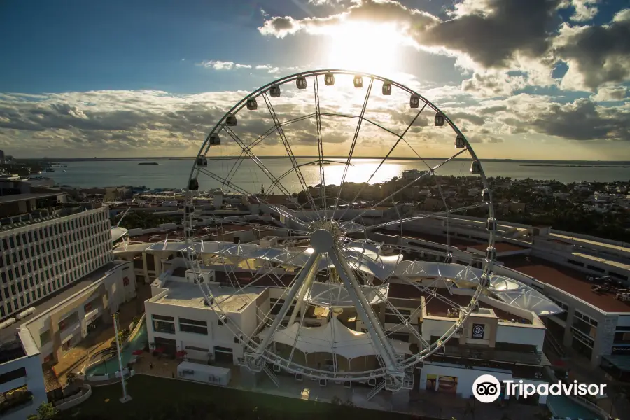 Ferris Wheel Cancun