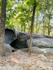 Big Rock Nature Preserve