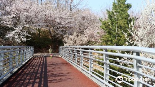 Unjeong Lake Park