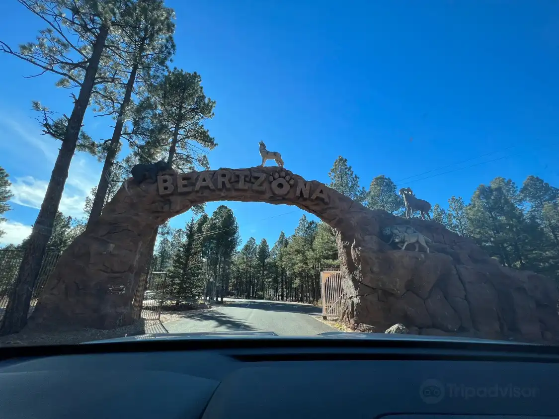 Hotels near Bearizona Wildlife Park