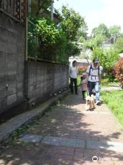 Yokohama Nature Observation Forest