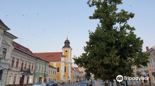 Avenue of Heroes in Cluj-Napoca (B-dul Eroilor)