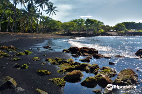 Punalu'u Black Sand Beach