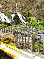 Spring water of Mt. Yotei