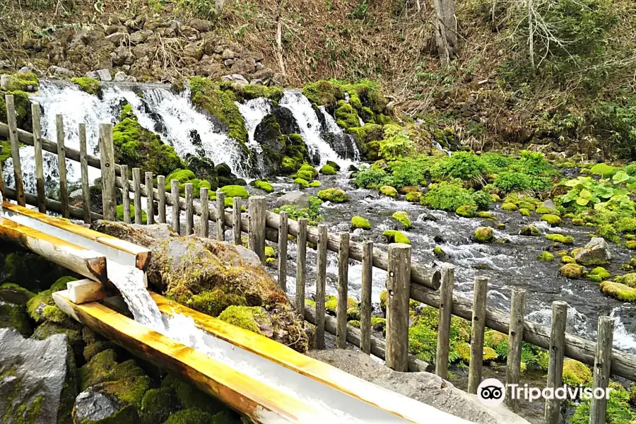 Spring water of Mt. Yotei