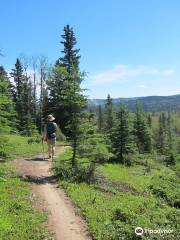 Hinton Bike Park