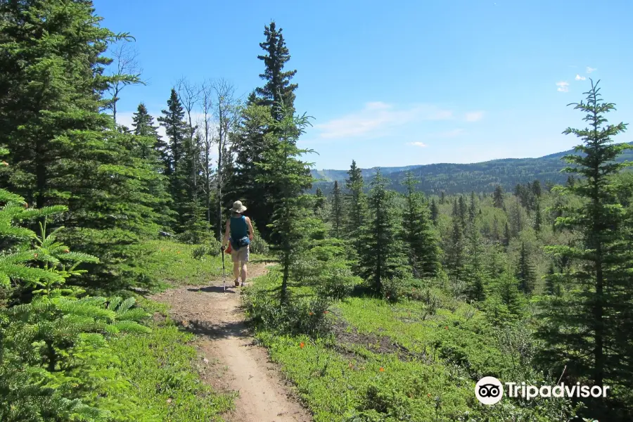 Hinton Bike Park