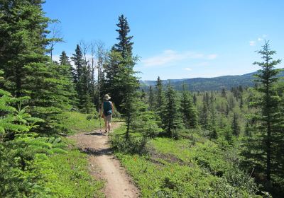 Hinton Bike Park