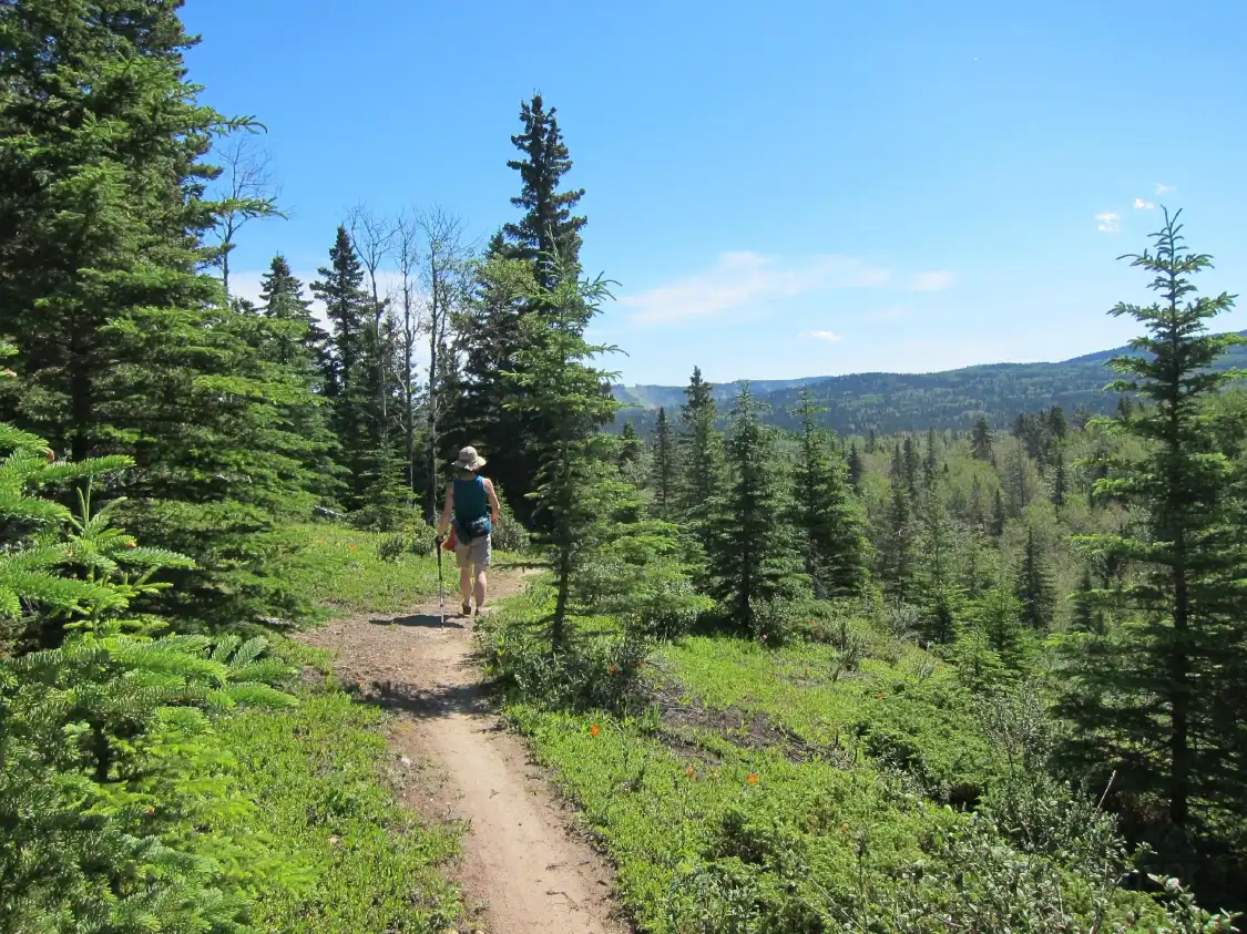 Hotels near Hinton Bike Park