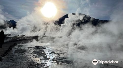 Geyser del Tatio