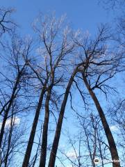 Eastman Nature Center