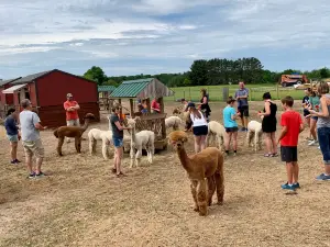 Cotton Creek Farms