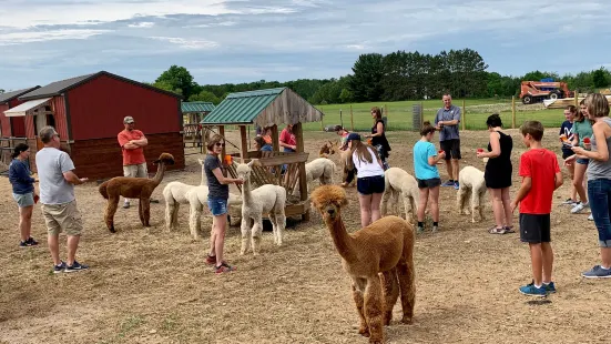 Cotton Creek Farms