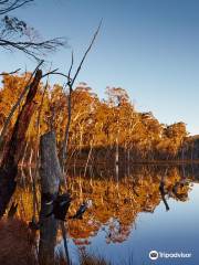 Lake Cobbler