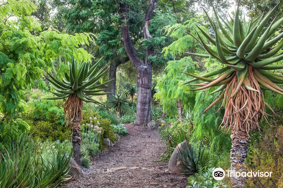 Taft Gardens & Nature Preserve - Appointment Only