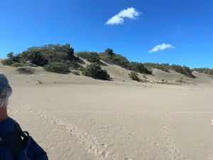Dunas de Bani