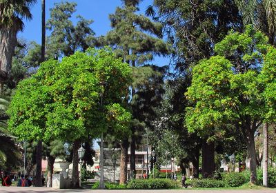 Plaza 25 de Mayo