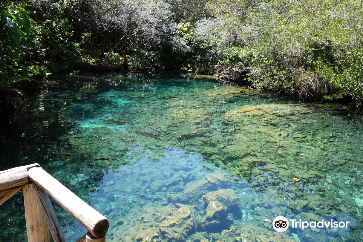 4_Reserva Ecologica Ojos Indigenas (Los Ojos Eco Journey)