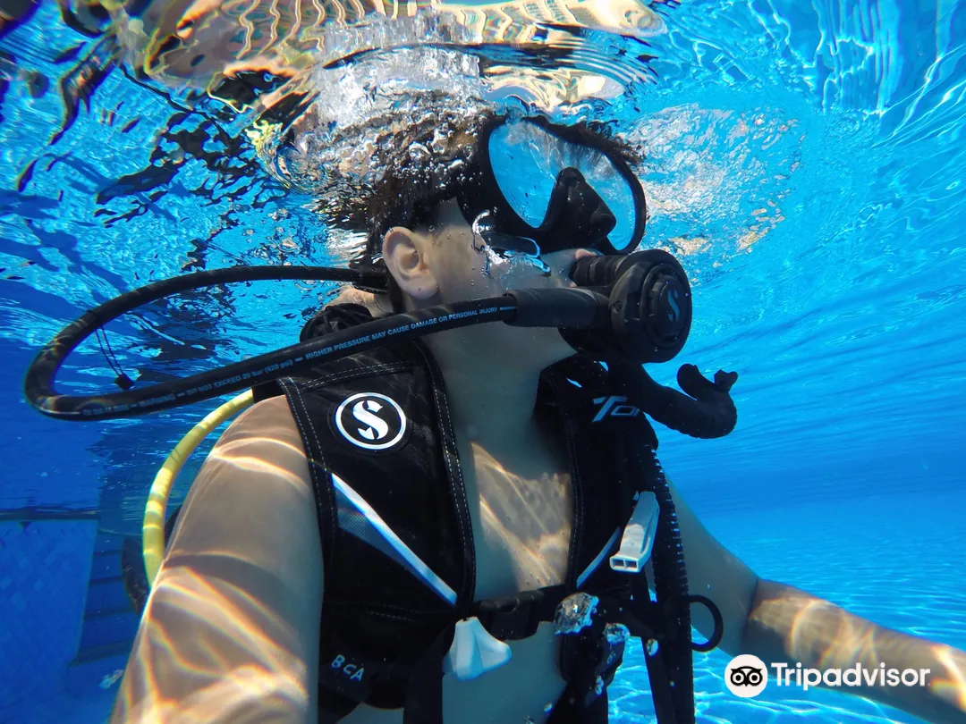 3_Blue Coast Dive Center