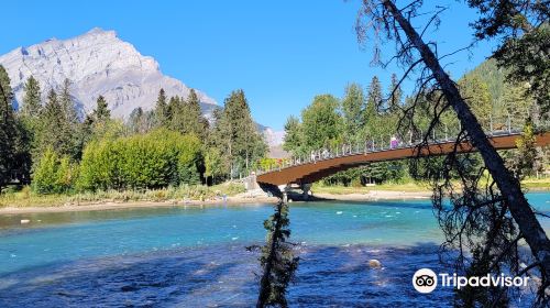 Bow River Trail