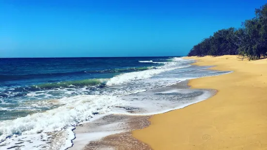 Burrum Coast National Park