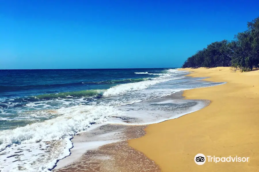 Burrum Coast National Park