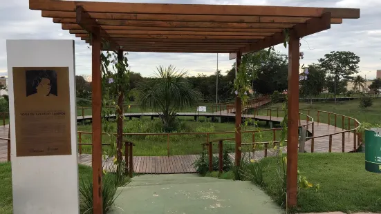 Parque da Nascente