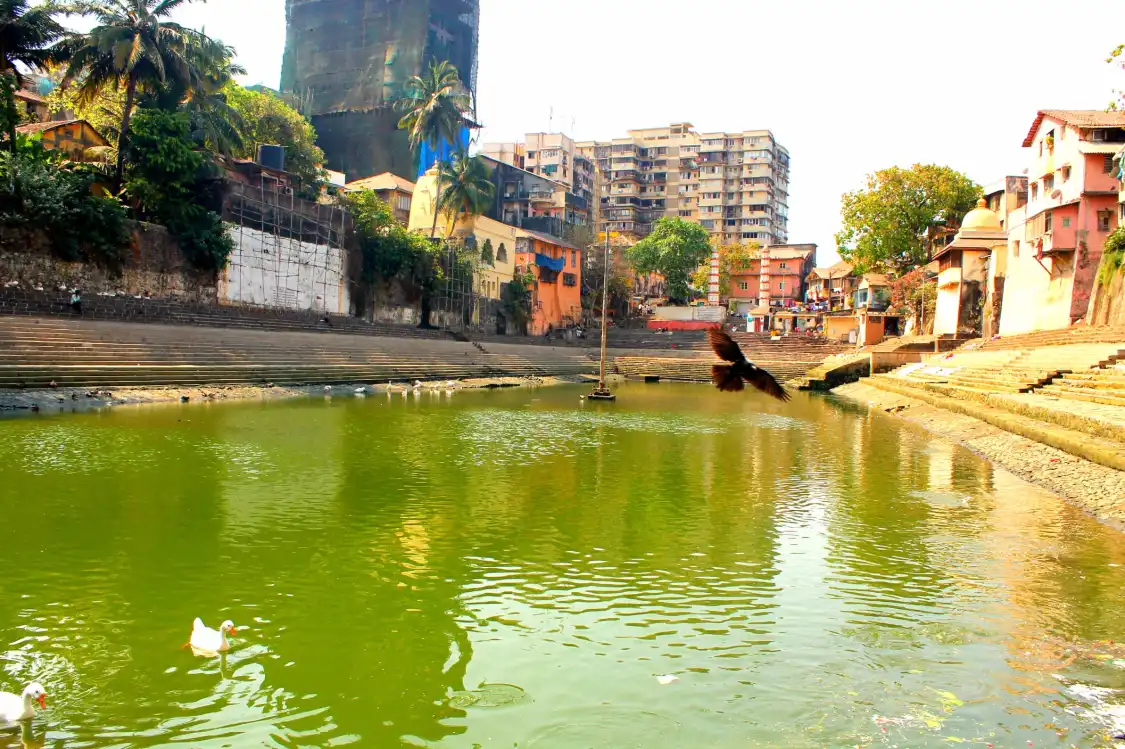 방강가 탱크 주변 호텔