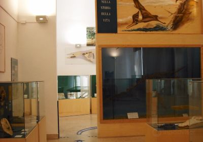 Museo Civico di Storia Naturale