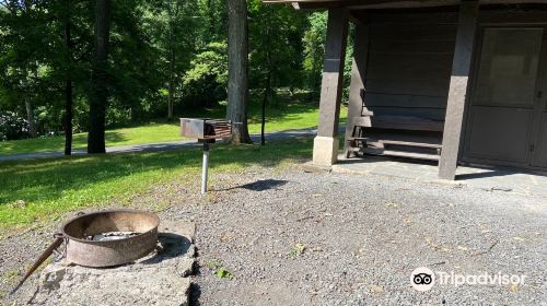 Cayuga Lake State Park