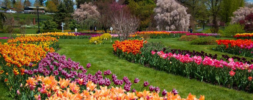 Hershey Gardens