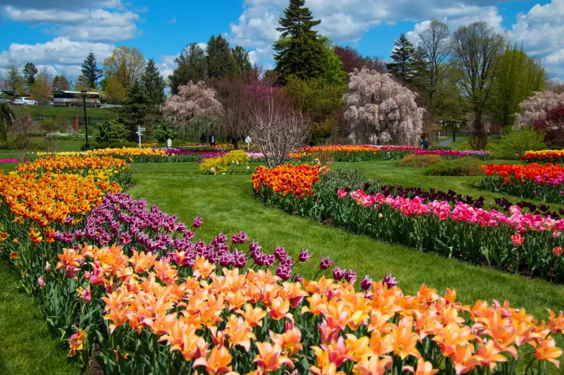 Hotels near Hershey Gardens