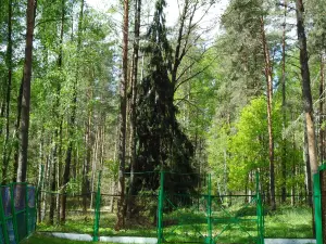 Orlovskoye Polesye National Park