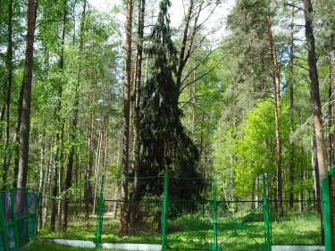 Khotynetsky District