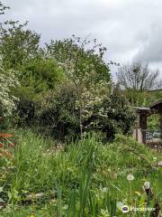 Hulme Community Garden Centre