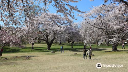 Morimachi Oniushi Park