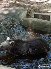 BEAR SANCTUARY Belitsa