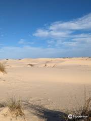 Monahans Sandhills State Park