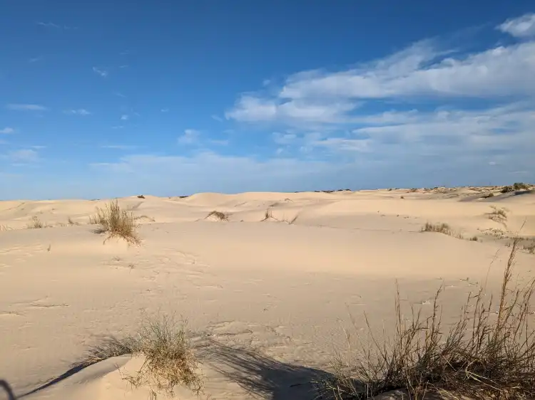 Hotels in Ward County