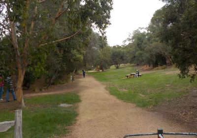 Bellbird Dell Reserve