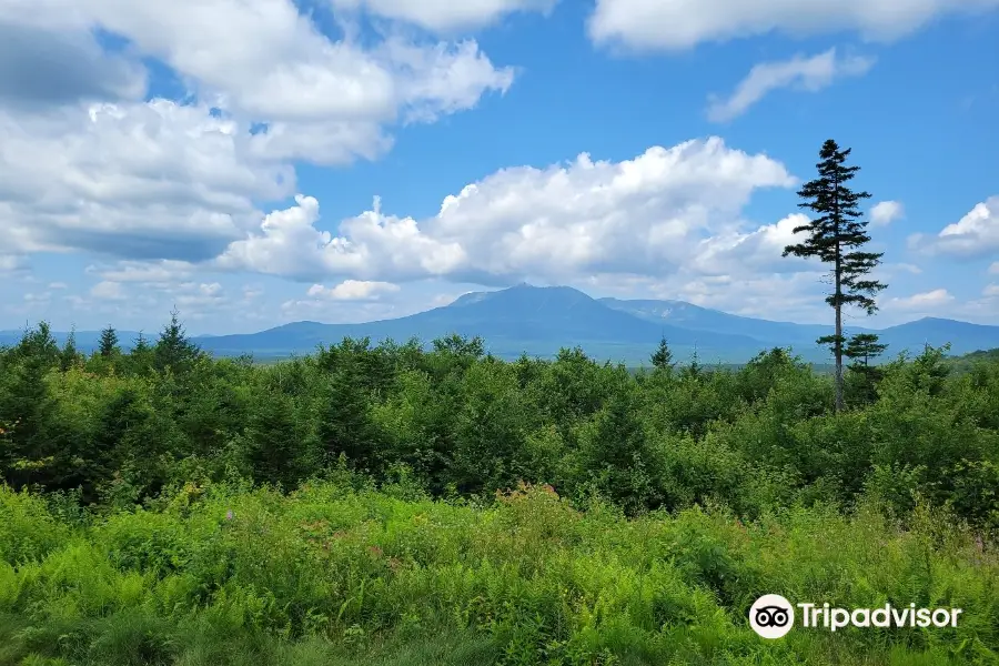 Katahdin Woods and Waters National Monument